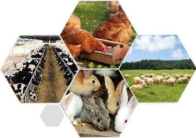 完善服務(wù)體系 合作無憂